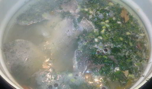 уха из хвостов лосося