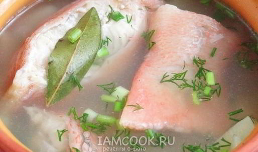 уха из морского окуня