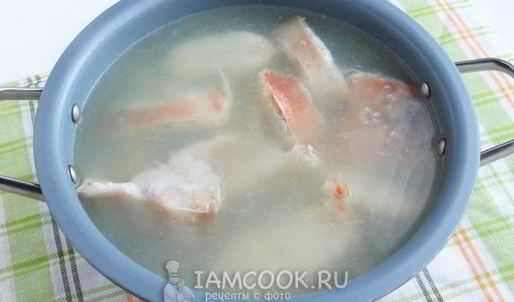 уха из морского окуня