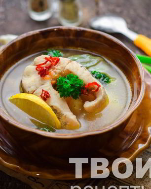 Уха из щуки