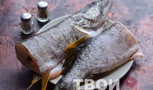 уха из щуки