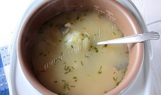 уха из сома в мультиварке