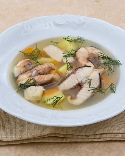 Рецепт ухи из стерляди и судака