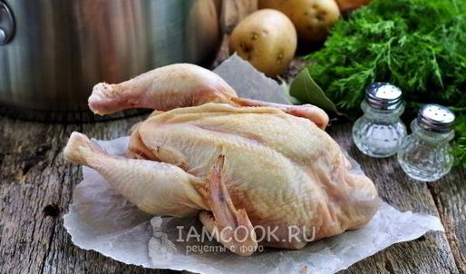 уха из стерляди