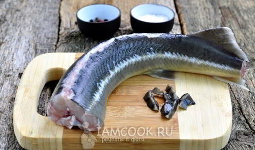 уха из стерляди