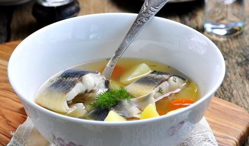 уха из стерляди