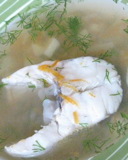 Рецепт ухи из судака