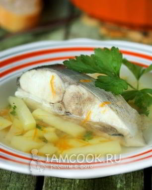 Уха из толстолобика