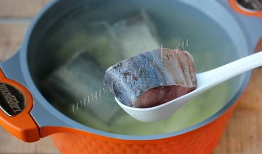 уха из толстолобика