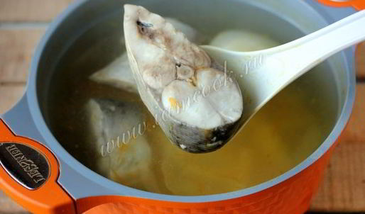 уха из толстолобика