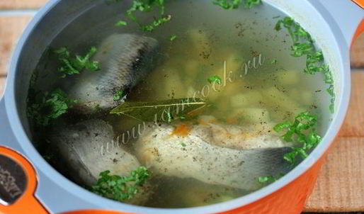 уха из толстолобика