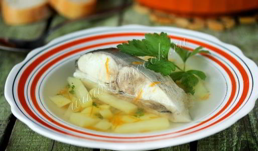 уха из толстолобика