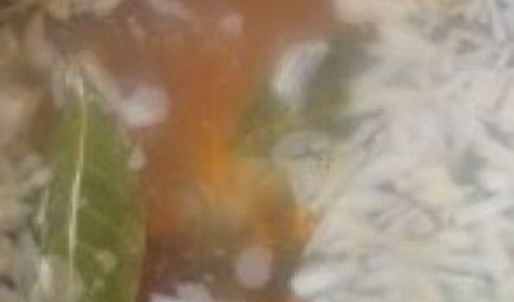 уха из зубатки