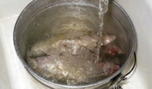 уха на природе