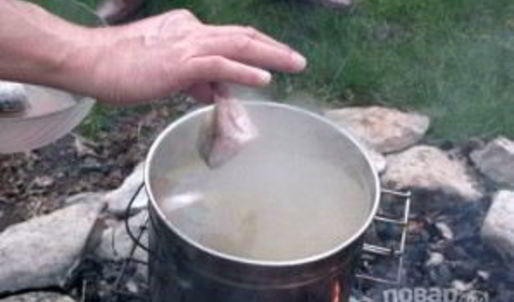 уха на природе