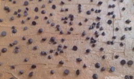 тыквенно-шоколадные булочки