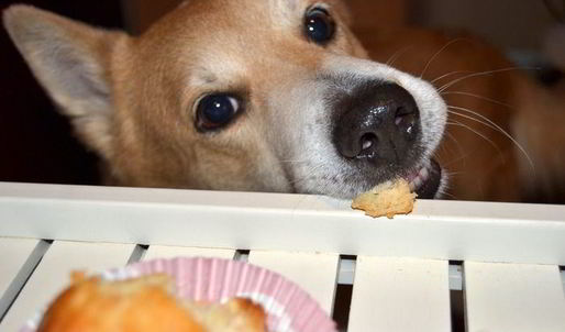 баба ромовая