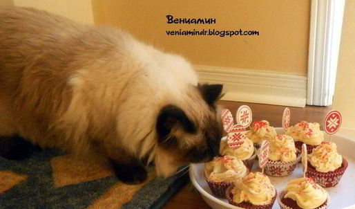 капкейки красный бархат