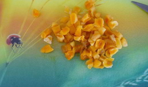 симнель — английский пасхальный кекс