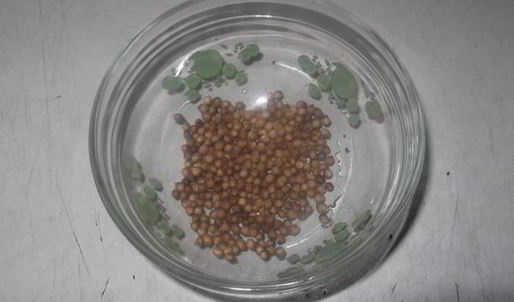 карельский черный хлеб