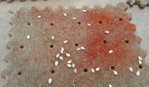 ржаные хлебцы