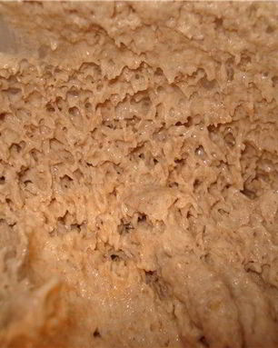 Закваска для хлеба на кефире