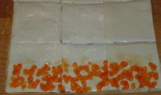 рулеты из лаваша с икрой