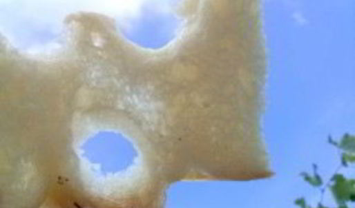 фокачча классическая