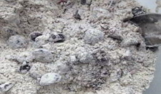 маффины с вишней