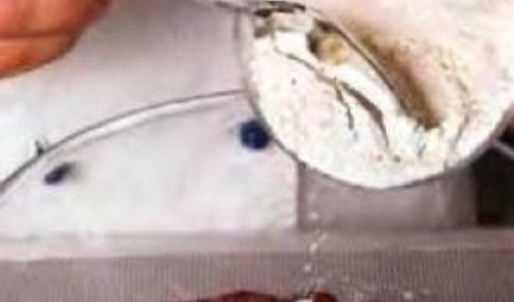 оладьи печеночные с луком