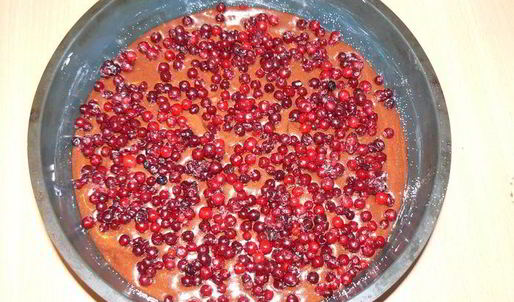 черно-белый пирог с брусничной прослойкой