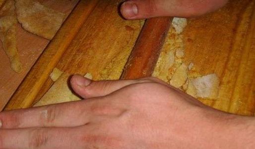 медовый пирог