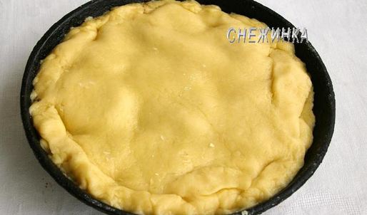 пирог-перевертыш с киви и кедровыми орешками