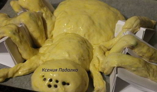 пирог с капустой паук