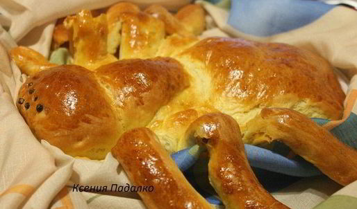 пирог с капустой паук