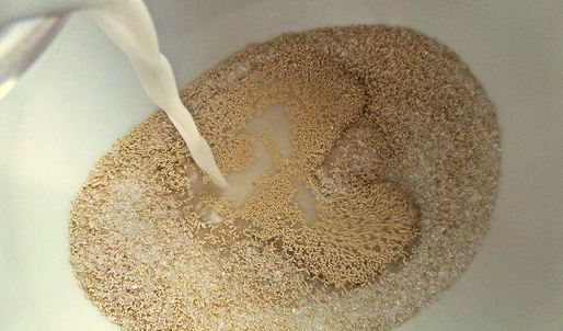 сырный пирог-рулет