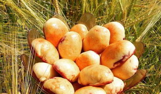 сдобные пирожки с вишней