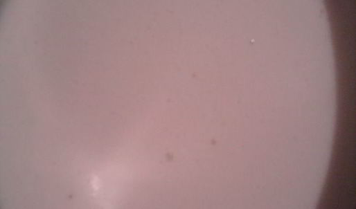 пирожные медовое наслаждение