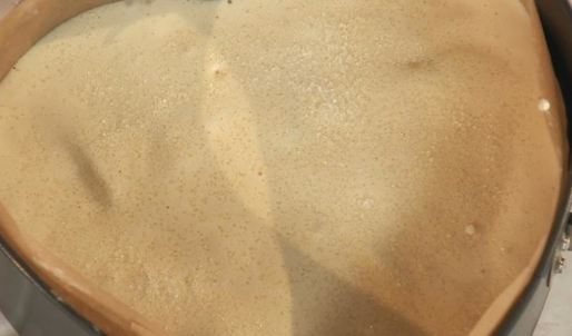 шарлотка неправильная