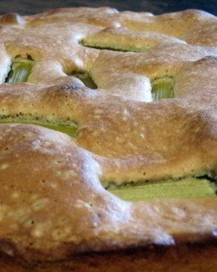 Рецепт шарлотки с ревенем