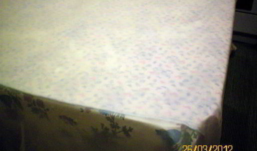 штрудель с яблоками и орехами