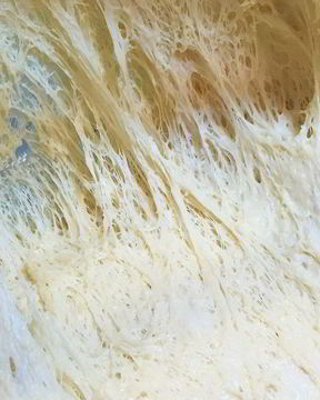 Медовое дрожжевое тесто