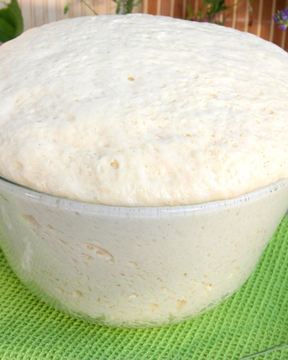 Тесто для ватрушек на сухих дрожжах