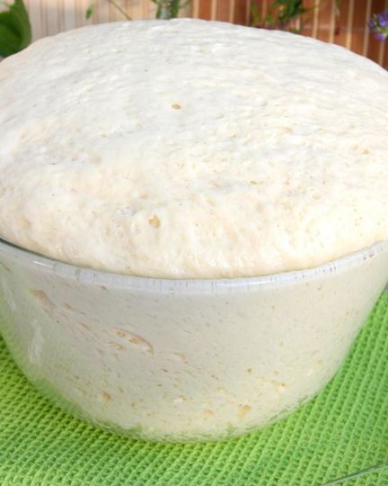 Рецепт теста для ватрушек на сухих дрожжах