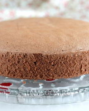 Бисквит Брошенный с какао