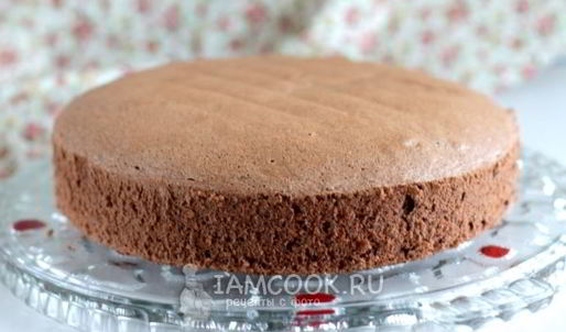 бисквит брошенный с какао
