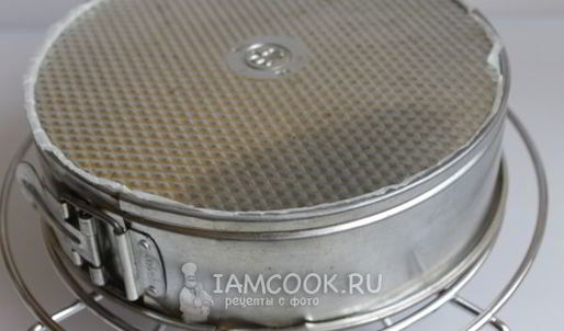 бисквит брошенный с какао