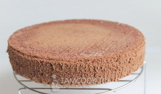 бисквит брошенный с какао