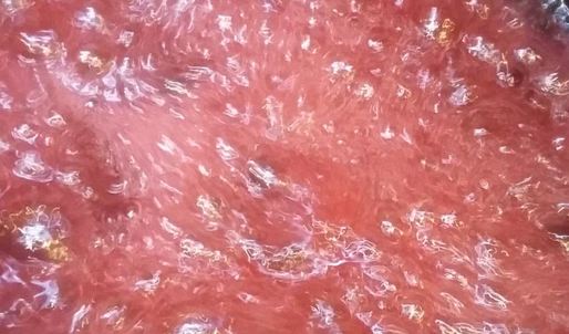 эклеры малиновая роза