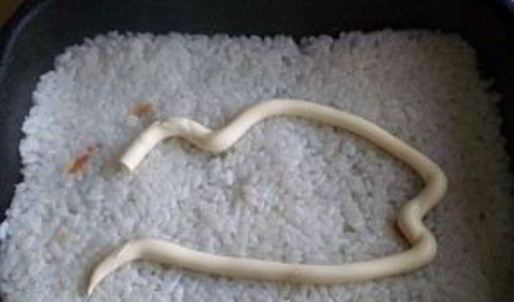 рыбная запеканка с рисом